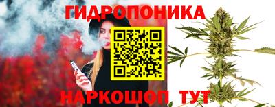 марки lsd Бийск