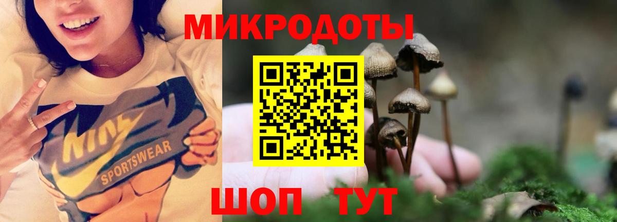 Галлюциногенные грибы Magic Shrooms  Вход с VPN  наркота  Галлюциногенные грибы GOLDEN TEACHER  Кировск 