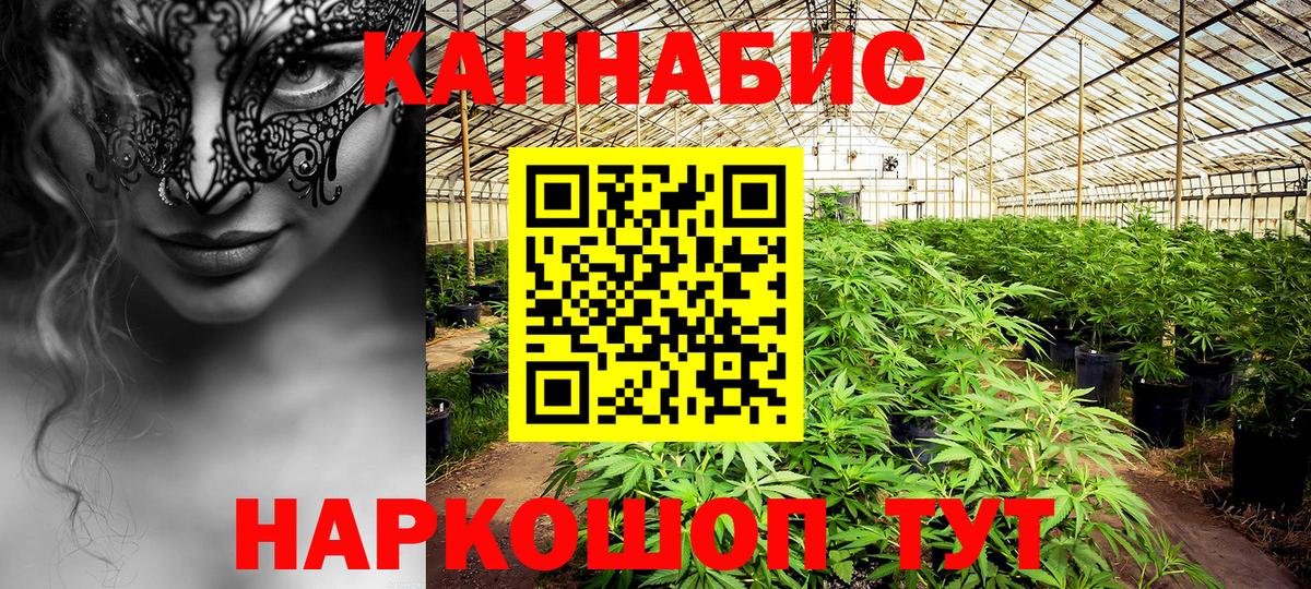 Бошки марихуана тримм  Марихуана план  Вход с VPN  МАРИХУАНА White Widow  Кировск 